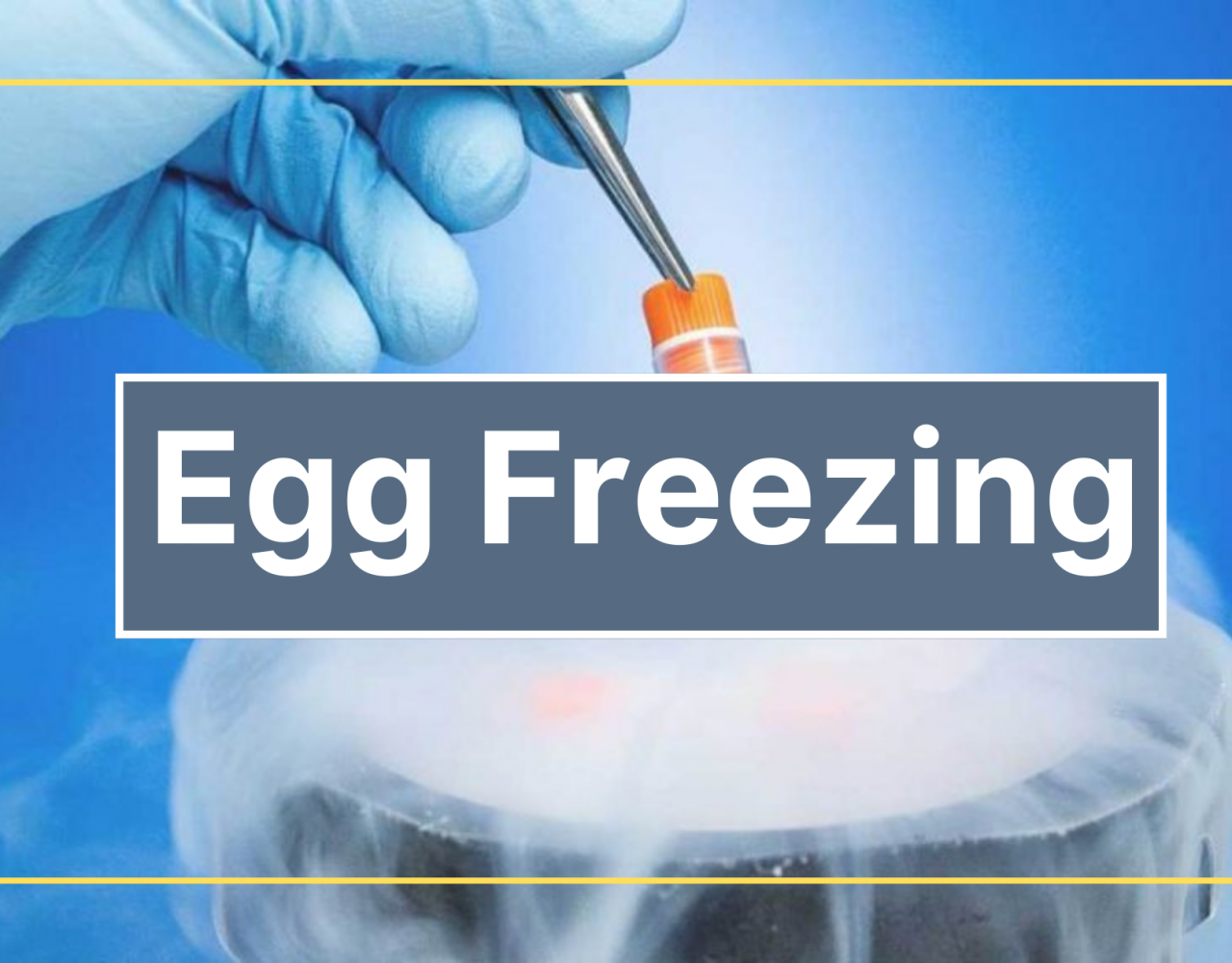 How many eggs should / can be stored? Archives - Best IVF Service