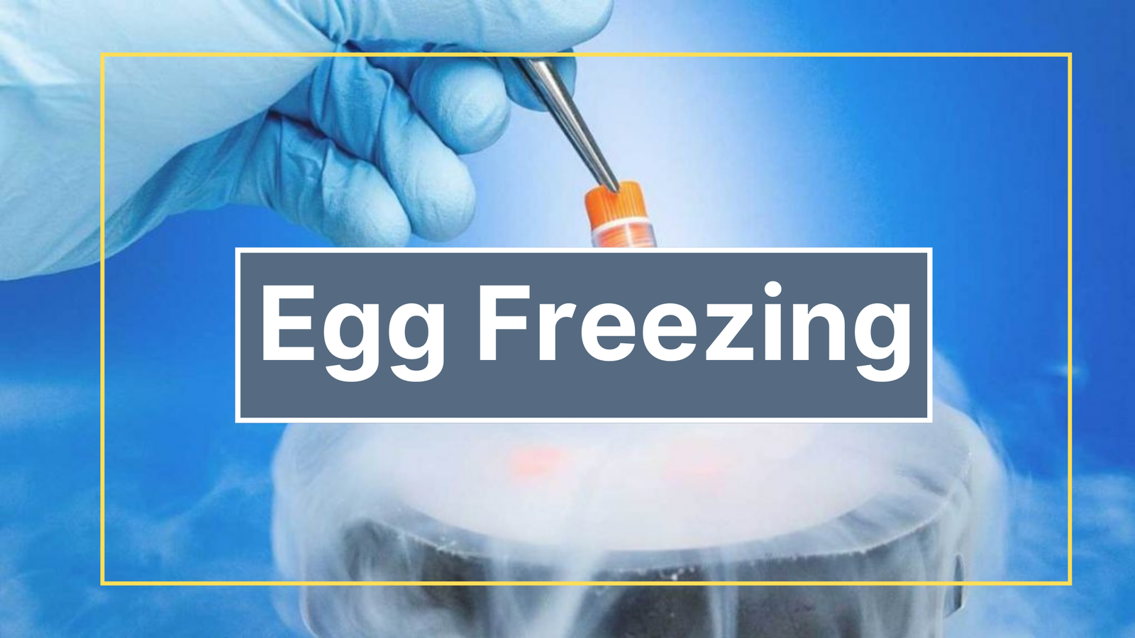 Egg Freezing Procedure