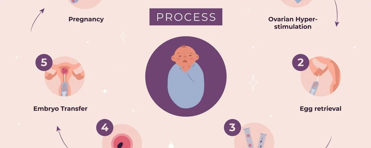 Step By Step IVF Process